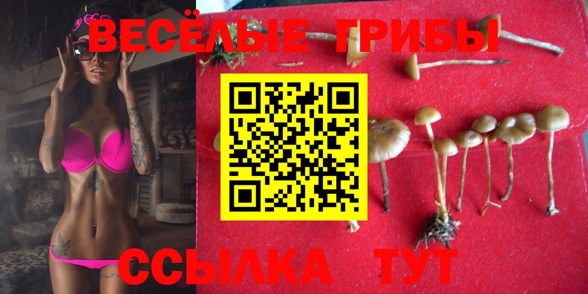 Псилоцибиновые грибы Magic Shrooms Якутск