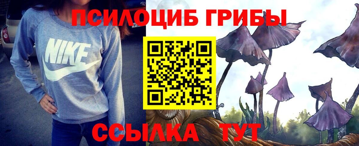 Якутск  даркнет сайт  Галлюциногенные грибы мухоморы  Вход с VPN  Псилоцибиновые грибы MAGIC MUSHROOMS 